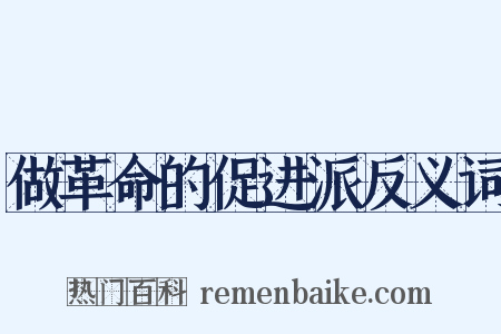做革命的促进派反义词是什么意思的图片
